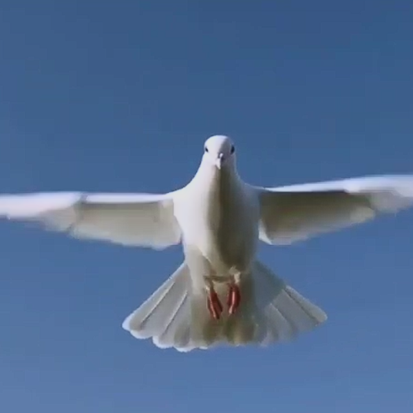 Snimak ekrana 2025-09-14 124422