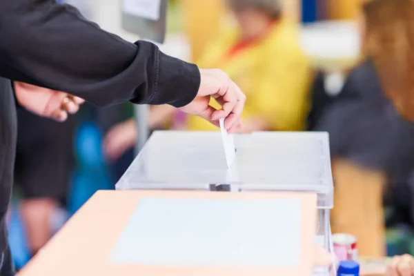 Izbore u Kuli posmatraće čak 238 akreditovanih posmatrača iz tri novosadske organizacije